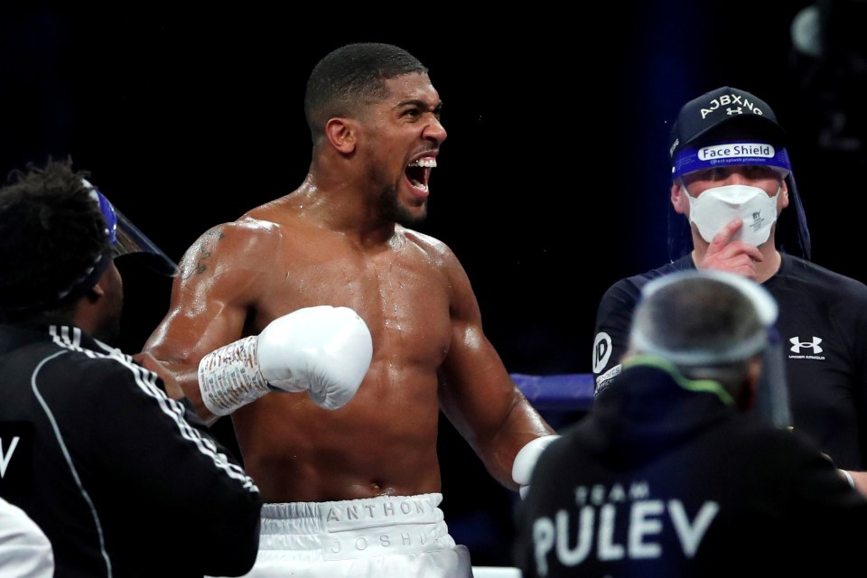 Joshua is scheduled to fight Usyk but could look to unify the division against WBC champ Fury