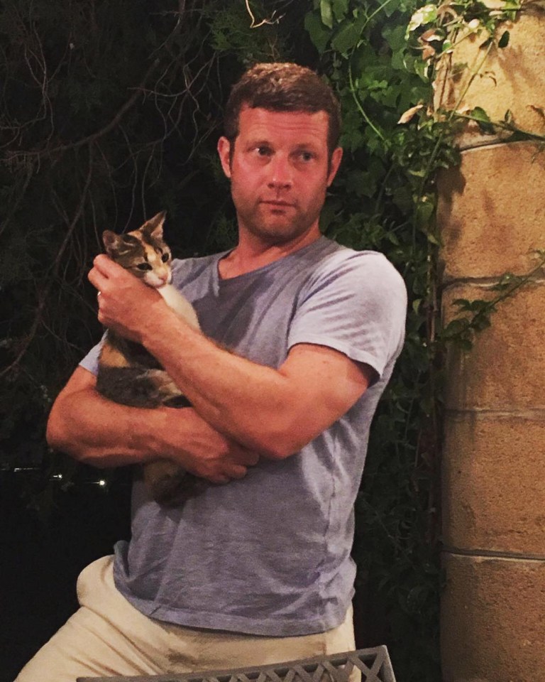 Dermot O'Leary is set to front a new ITV pet show dubbed the 'Top Gear for animal lovers'