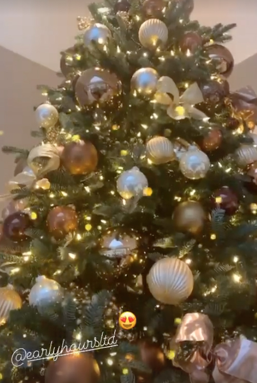 Cheryl's video honed in on a beautiful fir tree with gold and bronze baubles