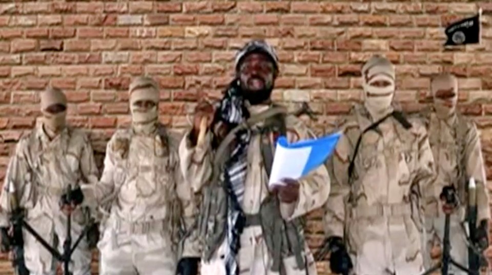 The video was released by released by  the Abubakar Shekau-led faction of Boko Haram