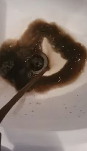 A mum has shared the filthy brown liquid that came out of her car seats