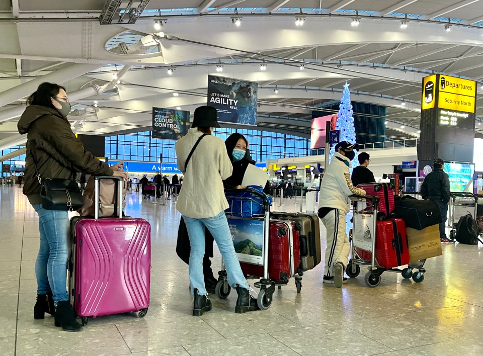 Passengers queue for flights at Heathrow as Brits flee Tier 4