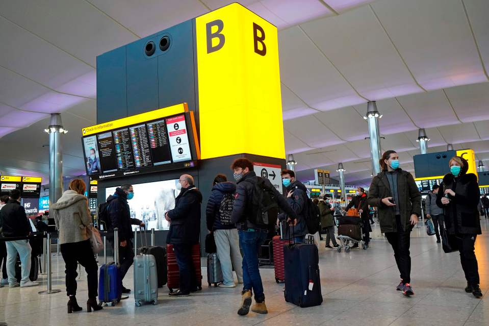 The mutation's spread prompted dozens of countries around the world to impose travel bans on flight from the UK