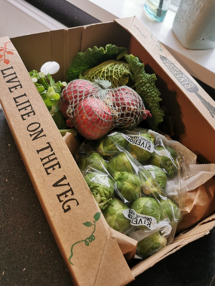 Emma gets her weekly vegetables delivered for £20, and shops the rest at Aldi or Iceland