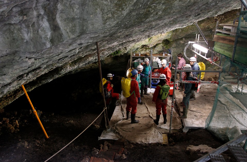 The fossils were found in a Spanish cave