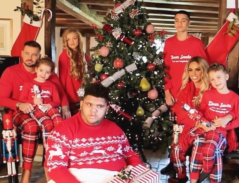 Katie Price and boyfriend Carl with Bunny, Princess, Harvey, Junior and Jett