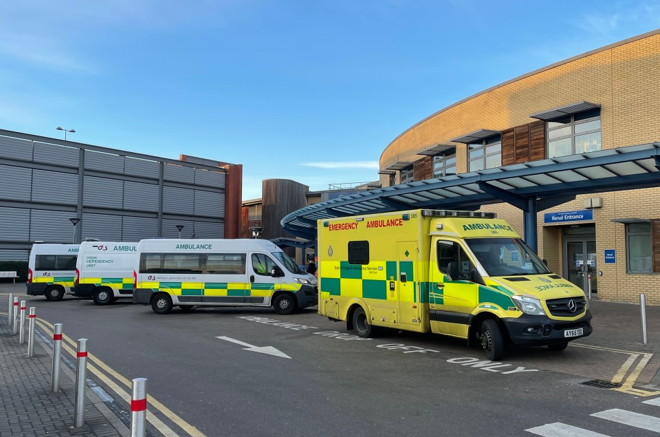 Ambulances at the Queen's Hospital today