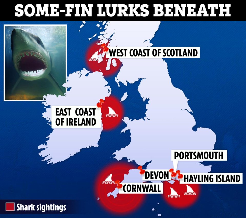 Shark have reportedly been spotted around the UK coastline - but in recent years, fishermen say there have been Great Whites off the south coast