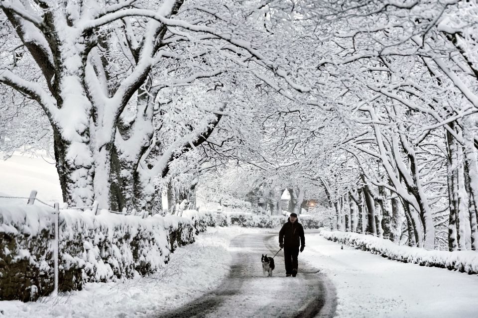 Dog walker in the Pennines, Northumberland, as forecasters warn more wintry weather may be on the way