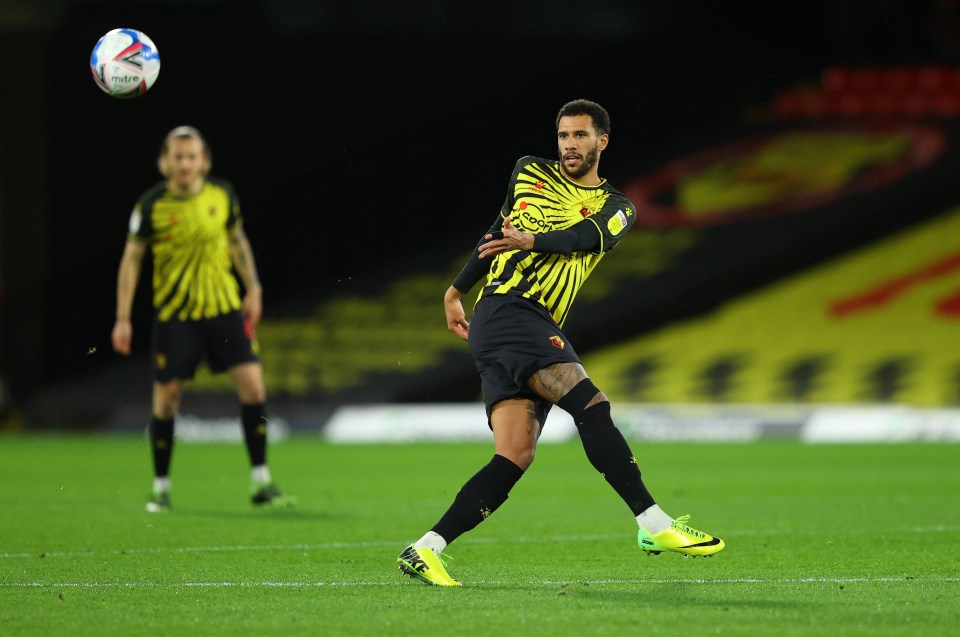 Etienne Capoue could be set to leave Watford for LaLiga