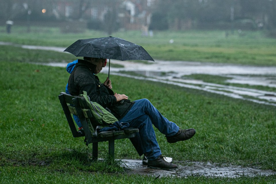 Meanwhile London saw heavy downpours as one walker takes shelter underneath an umbrella on Wimbledon Common