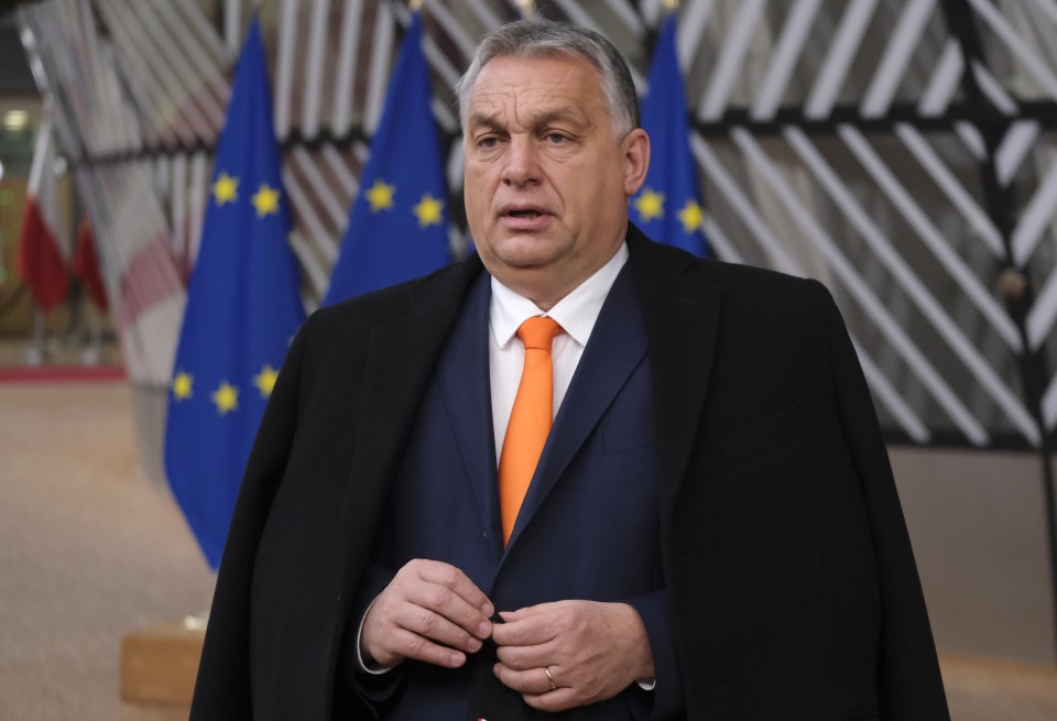 Hungarian Prime Minister Viktor Orban's chief of staff confirmed approval had been given to the Russian jab and a contract for two million doses was signed