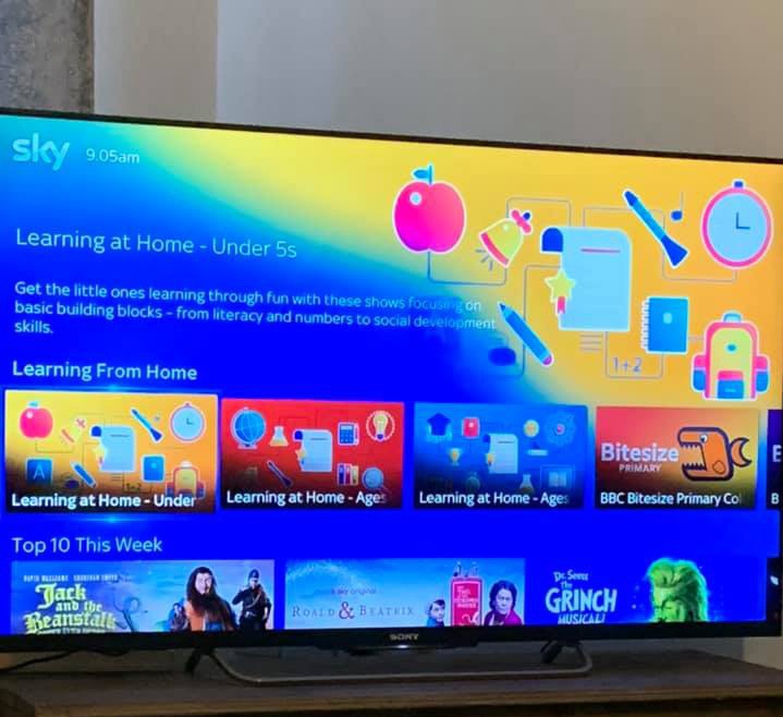 One mum revealed she was using Sky TV to educate her kids