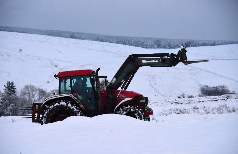 A farmer attempts to move his tractor across a snow covered field in Otterburn this morning