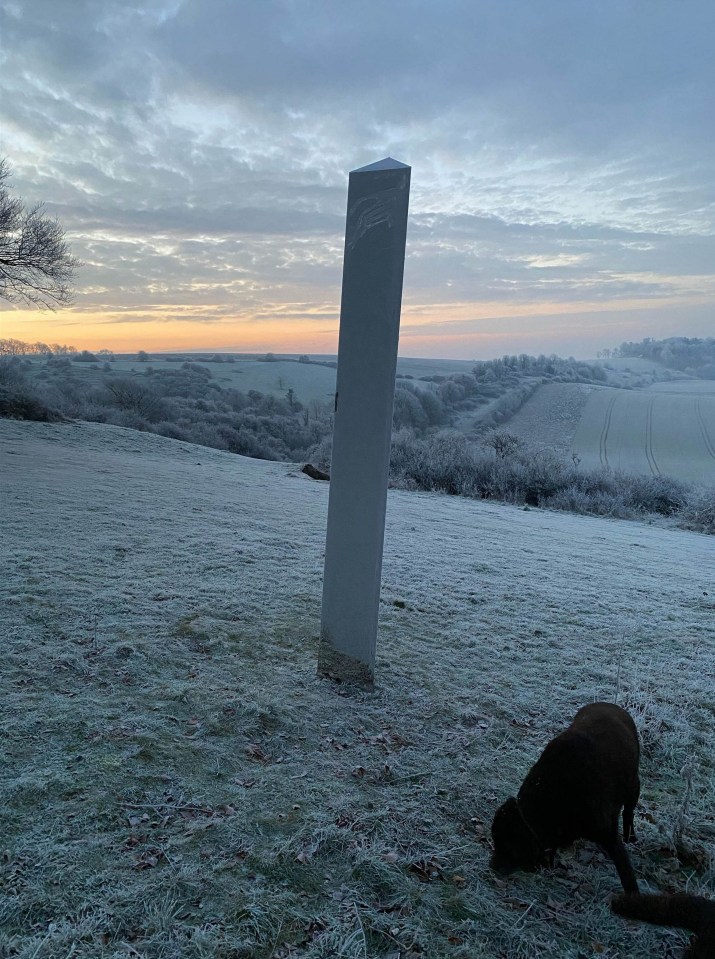 The mirrored pillar arrived overnight on Laverstock Downs near Salisbury