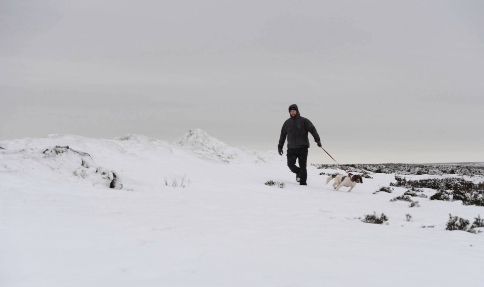 A dog walker makes his way over Muggleswick Common in County Durham in deep snow yesterday afternoon