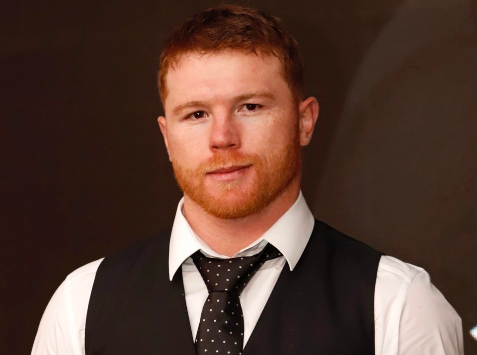 Canelo will defend his belts against Avni Yildirim next month