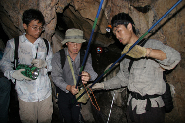 Scientists from the W.I.V. regularly studied wild bats during their research