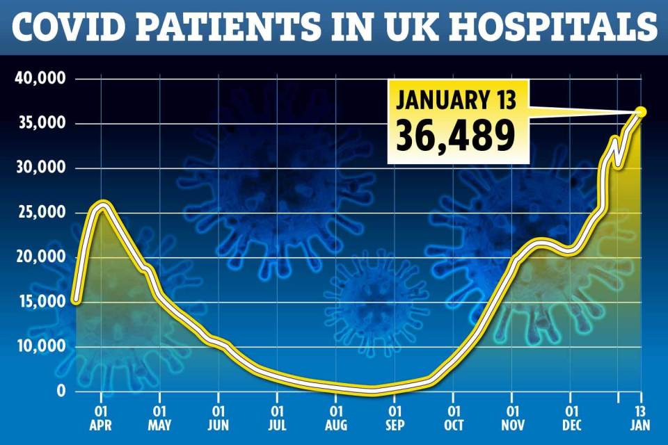 This image has an empty alt attribute; its file name is DM-UK-HOSPITALS-GRAPH-JAN-13-1-1.jpg