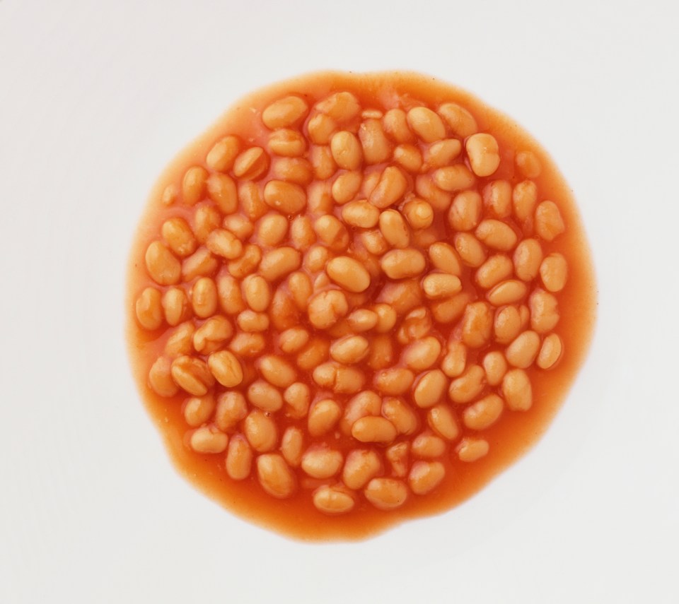 Beans contain high levels of protein