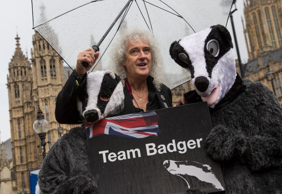 Queen member Brian May is launching his own badger-scented perfume