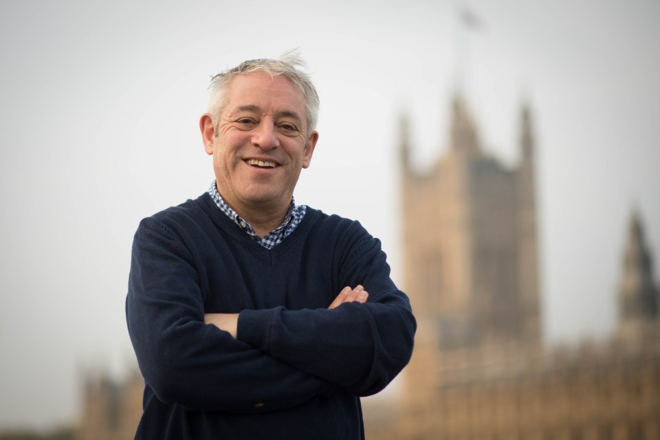 Bercow left his job as Speaker in December 2019