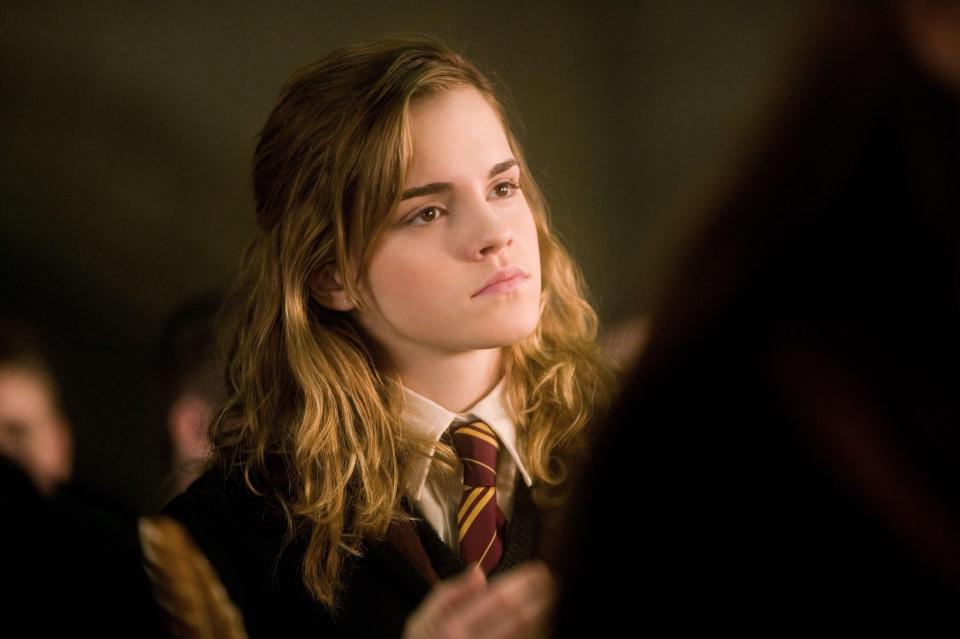 Emma Watson played the role of Hermionie Granger 