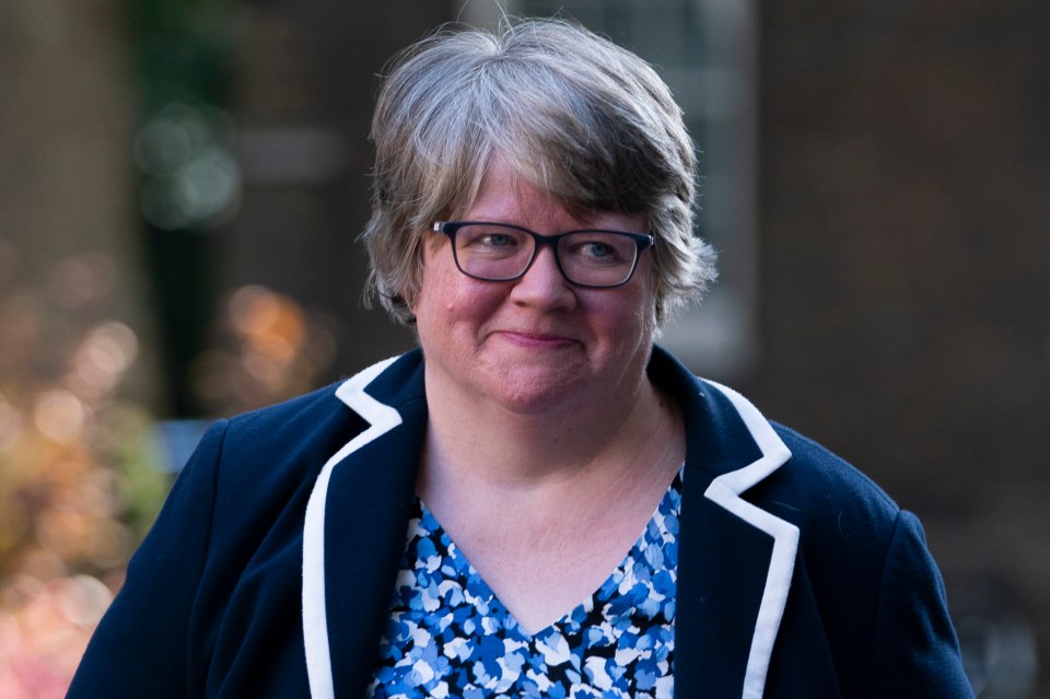 Work and Pensions Secretary Therese Coffey wants the benefits bump to stay 