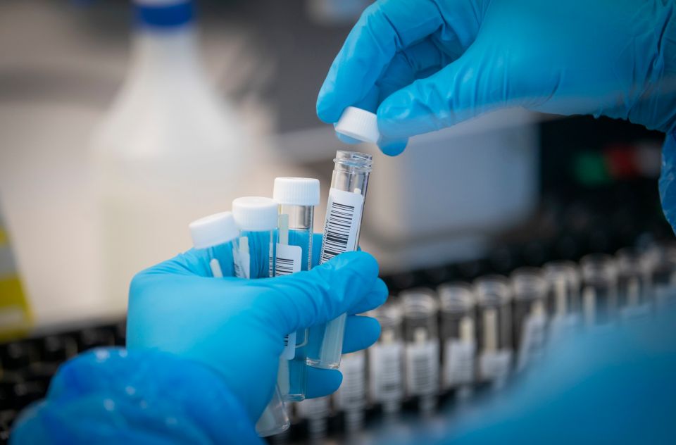 The PCR test is used worldwide to test for Covid (pictured, a swab about to be processed by PCR in Scotland)