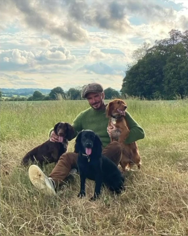 David is regularly out enjoying nature with his family and beloved pooches