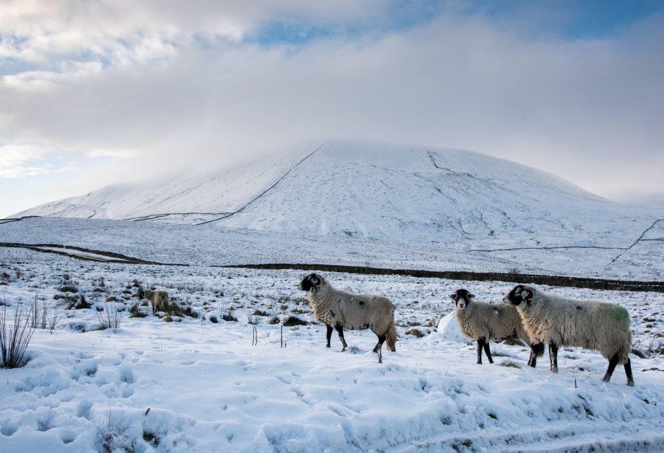 The Beast from the East is set to strike next week, according to reports