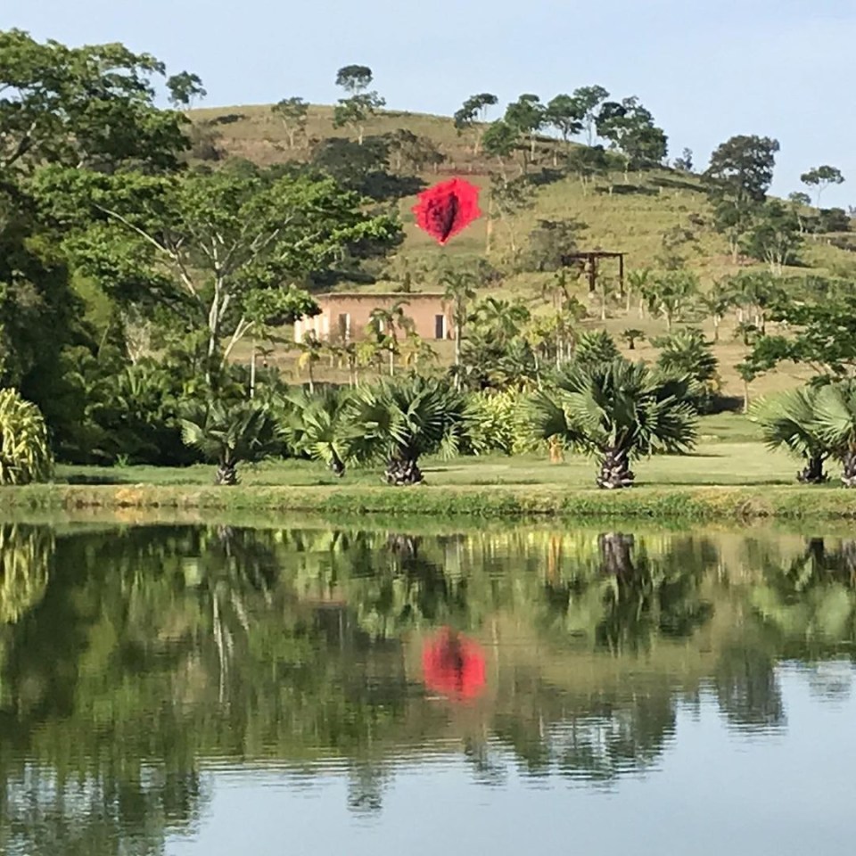 It has been unveiled on hillside at the Usina de Arte, a rural art park in Pernambuco state