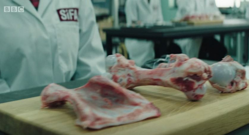 Students chopped up pig bones to learn how to understand contact marks