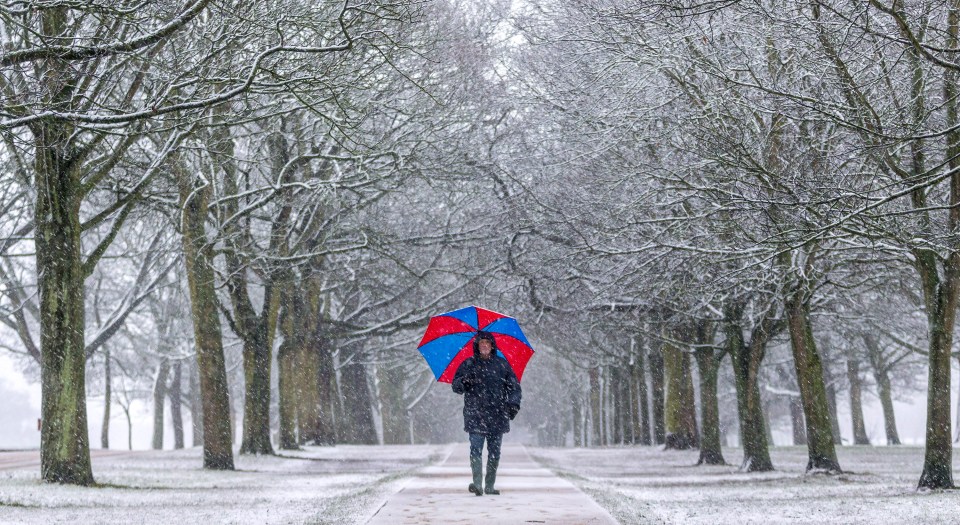 A man walked through the snow this morning at Temple Newsam park in Leeds