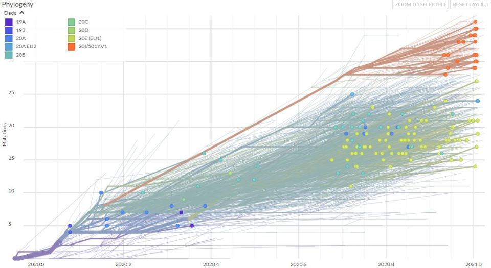 The chart above shows different variants of the virus in the UK. The graph shows that the new variant possesses eight mutations in spike protein. The orange pattern in the top right corner shows the new variant 