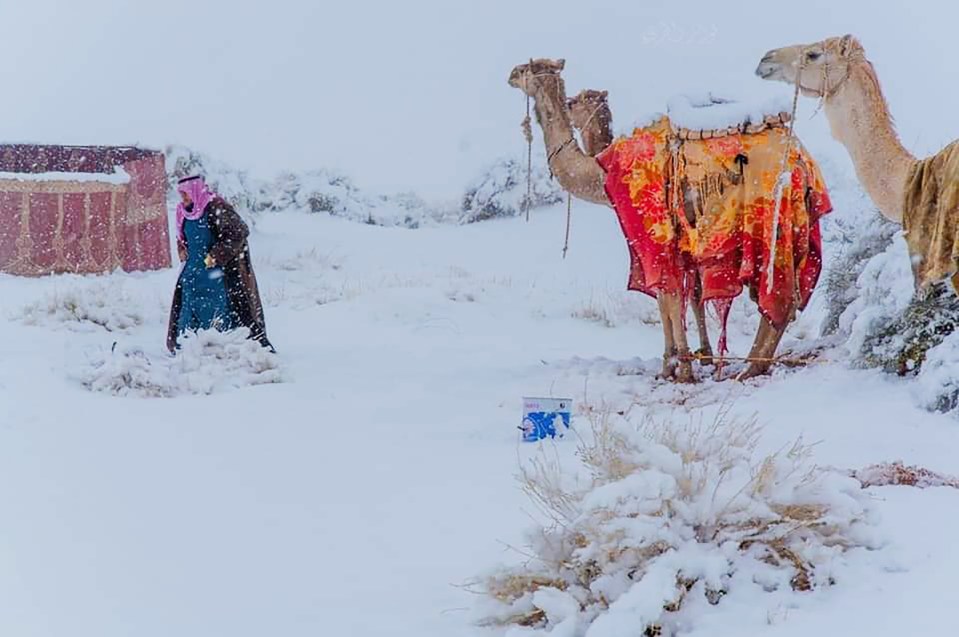 Tabuk is one of the coldest regions in Saudi Arabia