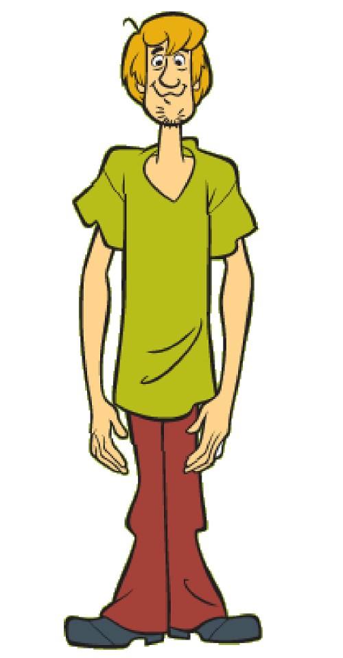 The Pussycat Dolls star's outfit had a striking resemblance to Shaggy from Scooby Doo