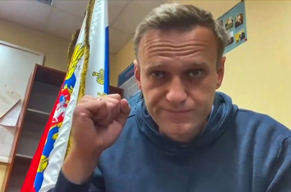 Alexei Navalny, 44, has dedicated himself to toppling strongman Putin