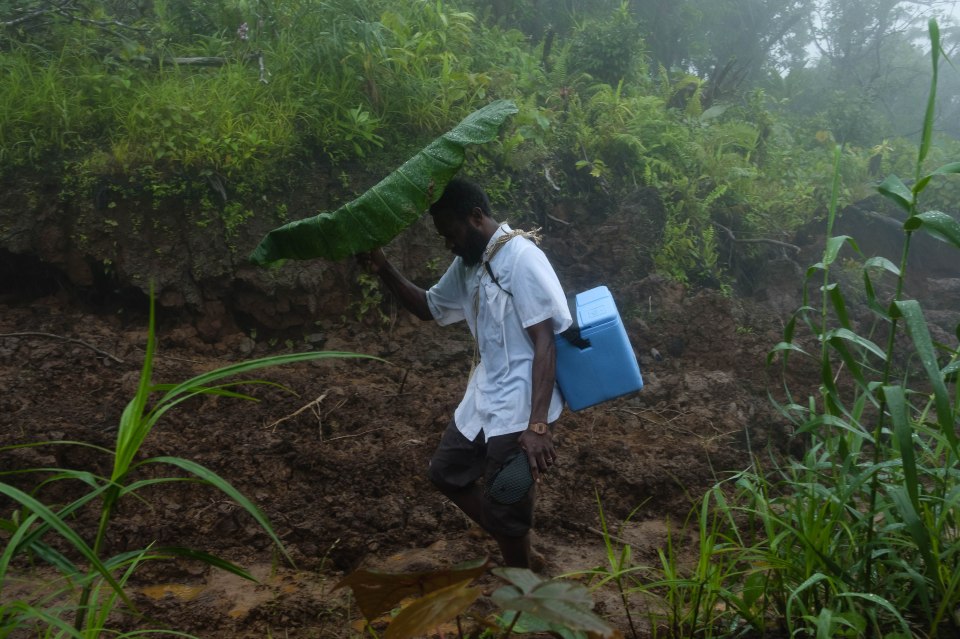 A health worker, from Melsisi Mini Hospital, trekking across the mountainous Pentecost Island to deliver the vaccine order to the remote Tsingbwege Dispensary in 2018