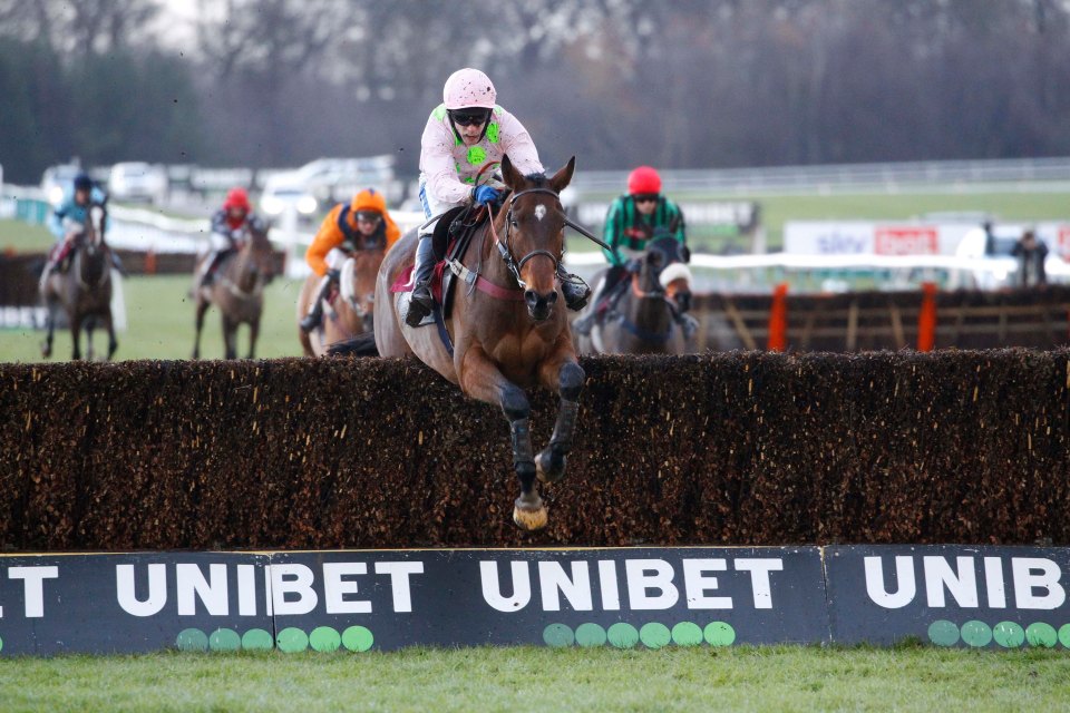 Royale Pagaille is now 14-1 for the Cheltenham Gold Cup