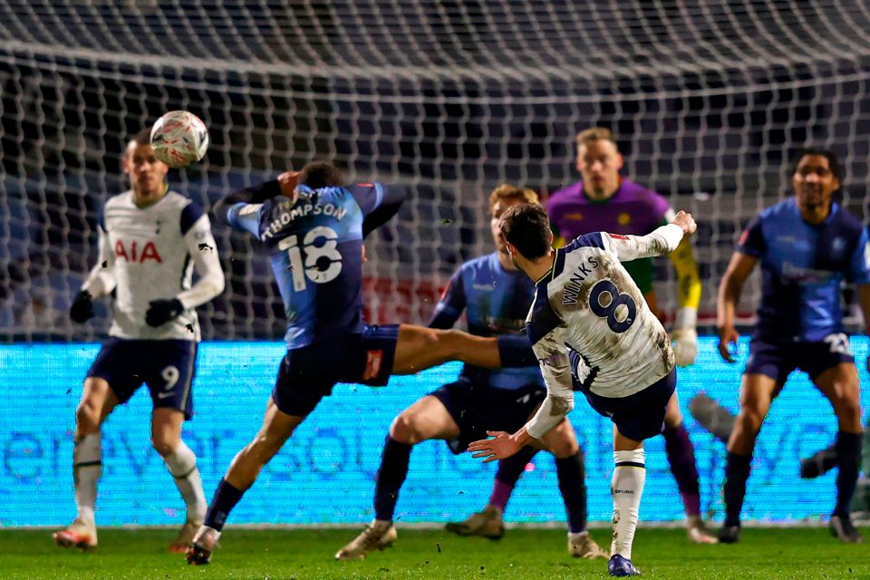 Harry Winks finally got Tottenham ahead with just four minutes remaining