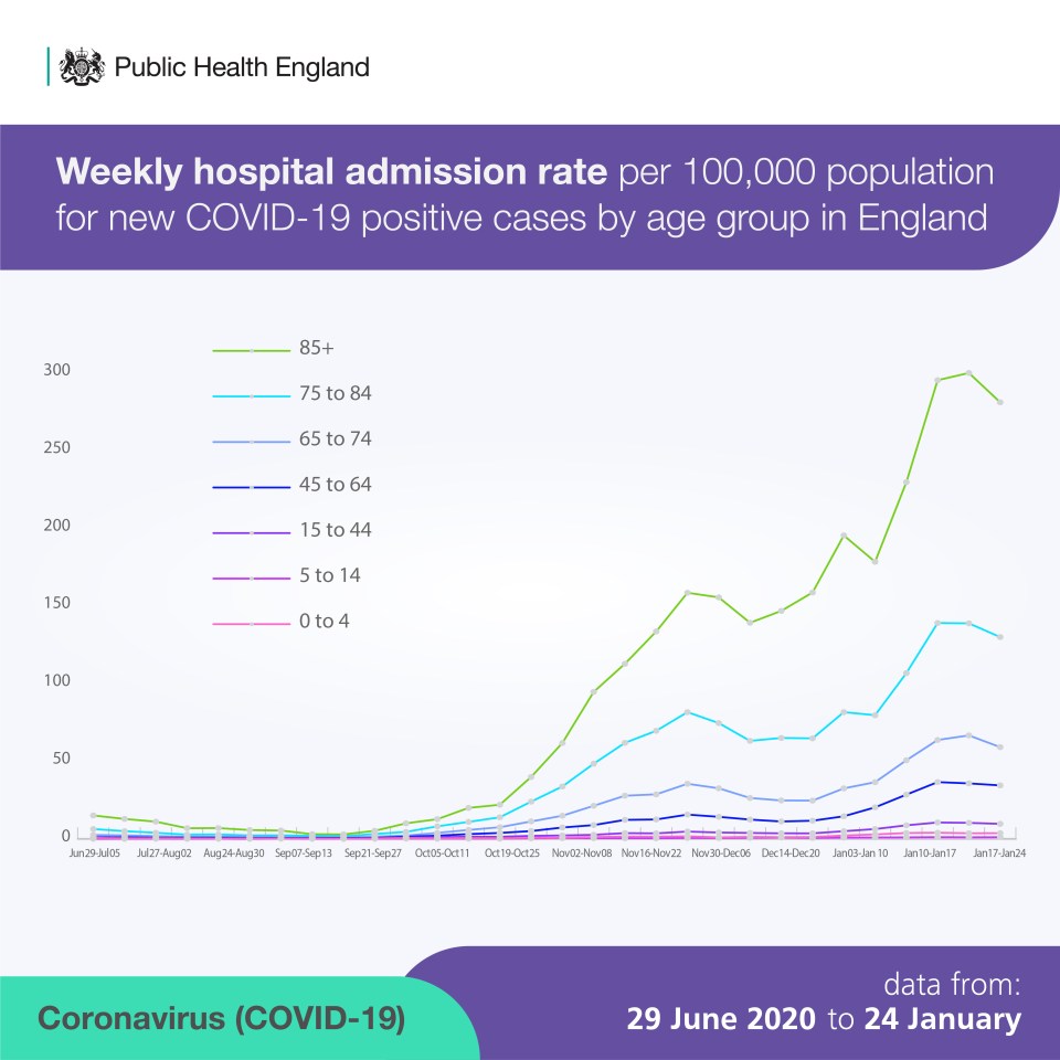 The graph above shows hospital admissions by age range