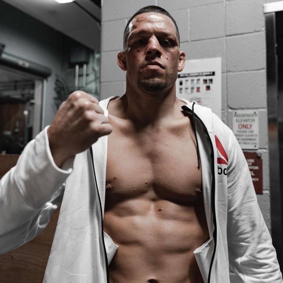 The YouTuber claims he and Nate Diaz are discussing a potential showdown