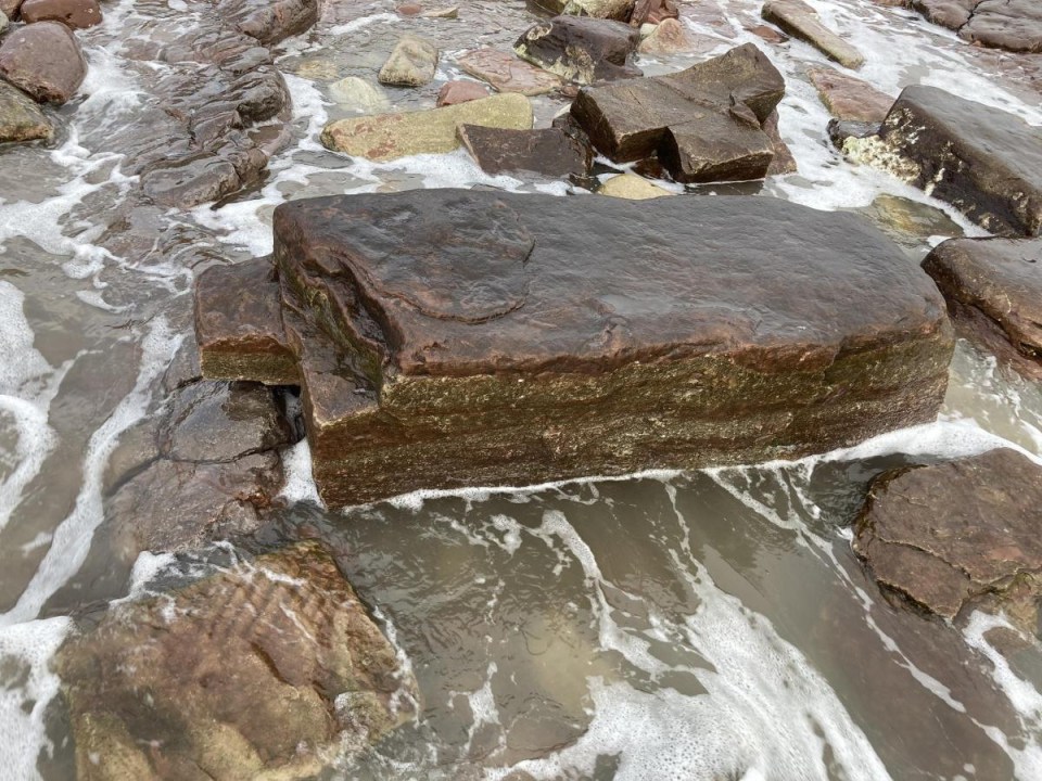 Ben Evans from British Institute for Geological Conservation called the footprint, found on a beach in Barry, an ‘amazing specimen’