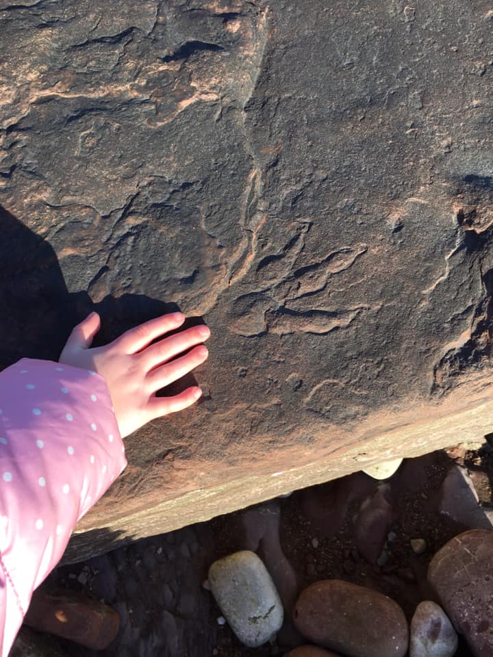 Lily’s hand beside the dinosaur footprint