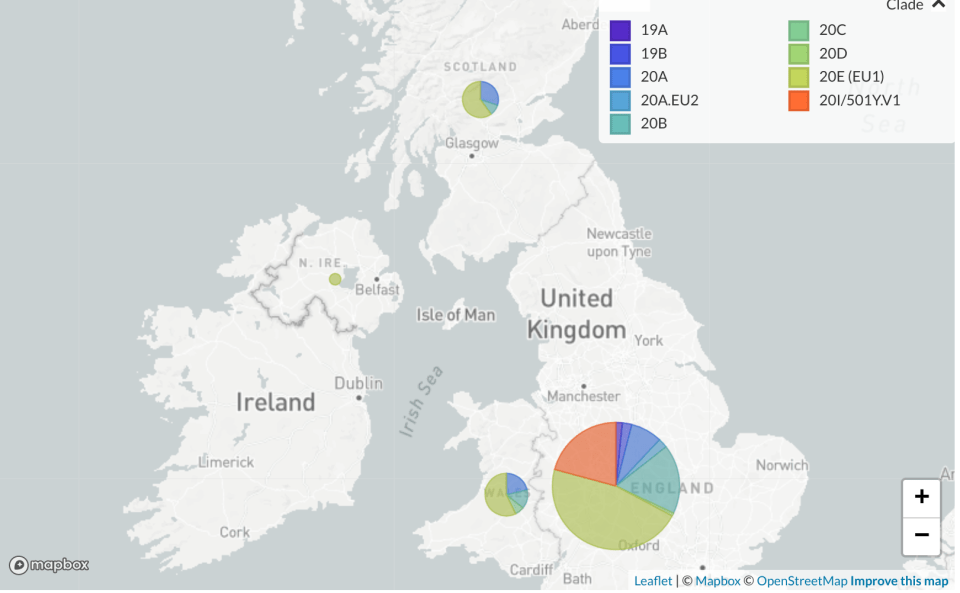 The map of the UK above shows which variants are most prevalent 