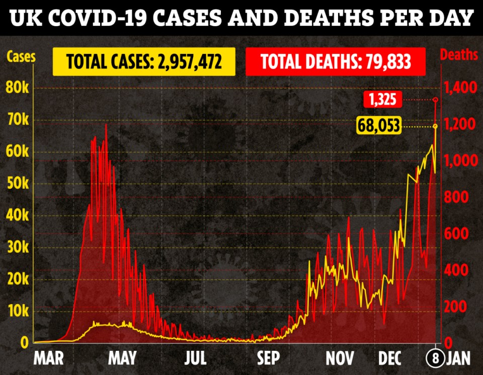 Another 1,325 Brits died from Covid-19 on Friday in what was the UK's deadliest day