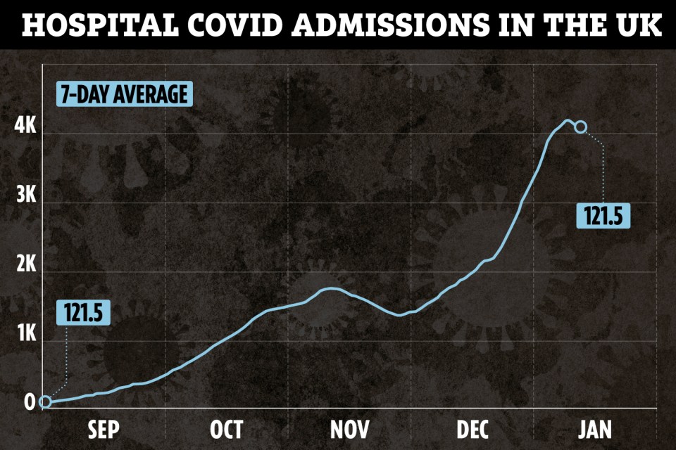 Hospital admissions are starting to fall in the UK - but inpatients are at a record high