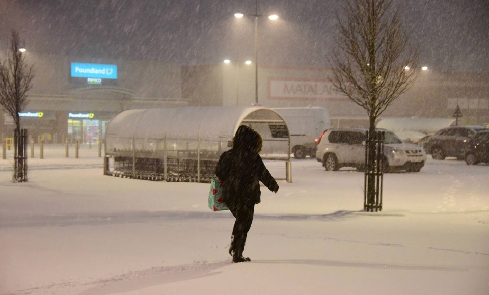 A shopper made her way through the whiteout in Morrisons car park, County Durham yesterday