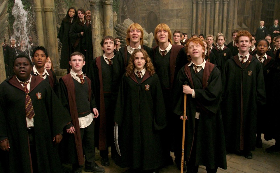 Seamus (third boy from left) was one of Harry's friends in Gryffindor 